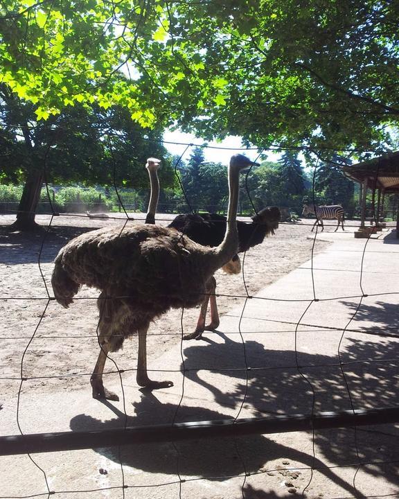 Tierpark-Restaurant